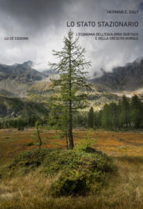 copertina del libro lo stato stazionario