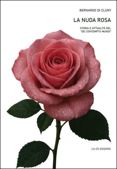 La nuda rosa